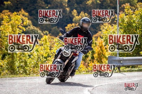 Forca d Acero 12-10-25 h12-29 1269