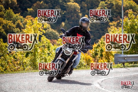 Forca d Acero 12-10-25 h12-29 1270