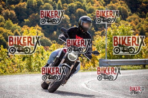 Forca d Acero 12-10-25 h12-29 1271