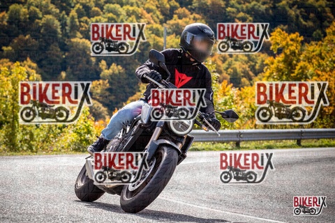 Forca d Acero 12-10-25 h12-29 1272