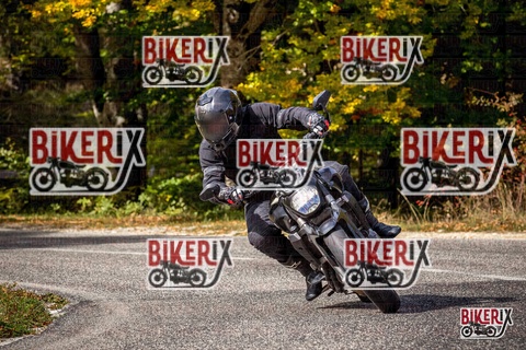 Forca d Acero 12-10-25 h12-35 1286