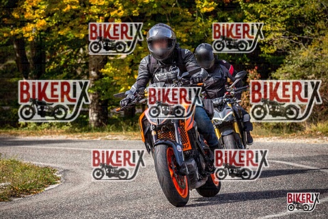 Forca d Acero 12-10-25 h12-38 1318