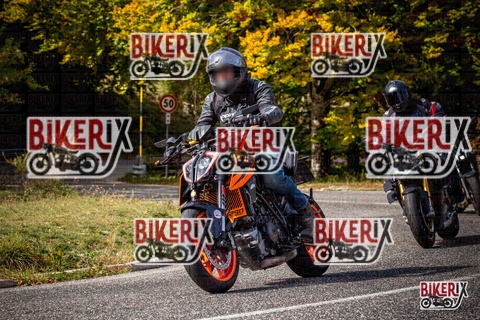 Forca d Acero 12-10-25 h12-38 1319