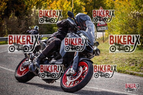 Forca d Acero 12-10-25 h12-39 1331