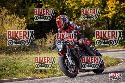 Forca d Acero 12-10-25 h12-42 1353