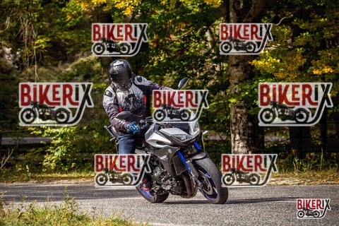 Forca d Acero 12-10-25 h12-42 1357