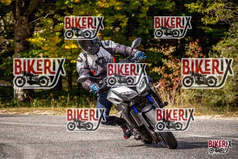 Forca d Acero 12-10-25 h12-42 1359