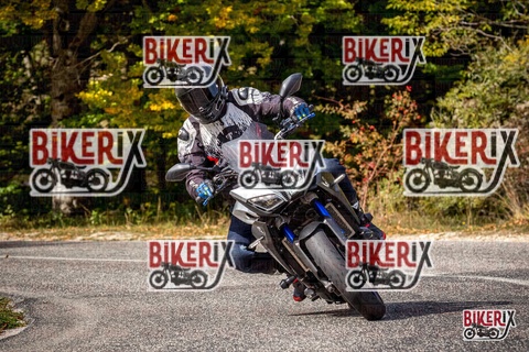 Forca d Acero 12-10-25 h12-42 1360