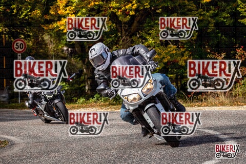 Forca d Acero 12-10-25 h12-52 1389