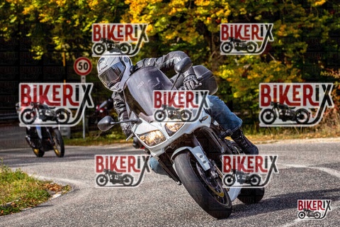 Forca d Acero 12-10-25 h12-52 1390