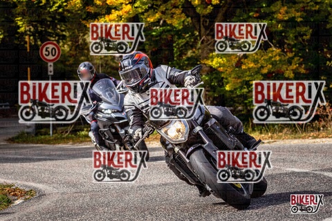 Forca d Acero 12-10-25 h12-53 1393