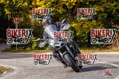 Forca d Acero 12-10-25 h12-53 1395