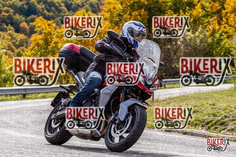 Forca d Acero 12-10-25 h12-56 1438