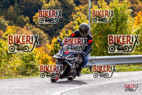 Forca d Acero 12-10-25 h12-56 1442