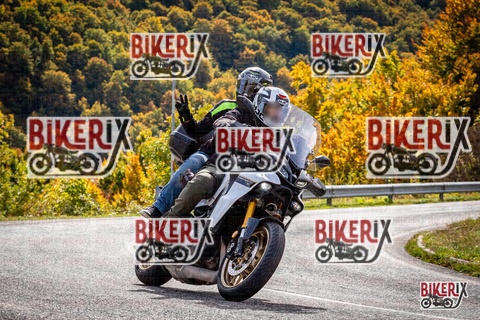 Forca d Acero 12-10-25 h12-59 1473