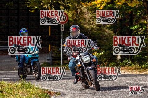 Forca d Acero 12-10-25 h13-14 1491