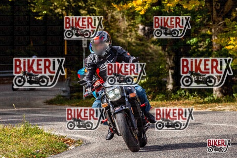 Forca d Acero 12-10-25 h13-14 1492