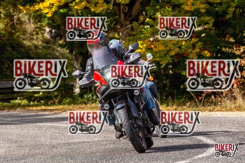 Forca d Acero 12-10-25 h13-14 1497