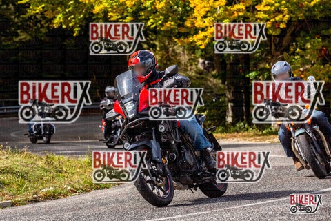 Forca d Acero 12-10-25 h13-14 1498