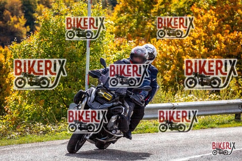 Forca d Acero 12-10-25 h13-16 1526