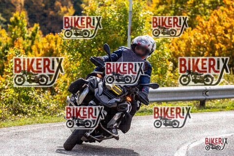 Forca d Acero 12-10-25 h13-16 1527