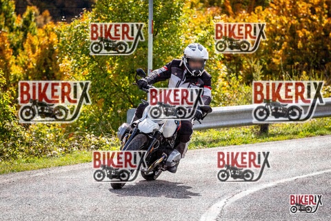 Forca d Acero 12-10-25 h13-17 1532