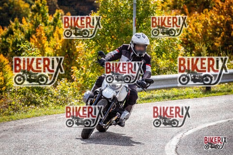 Forca d Acero 12-10-25 h13-17 1533