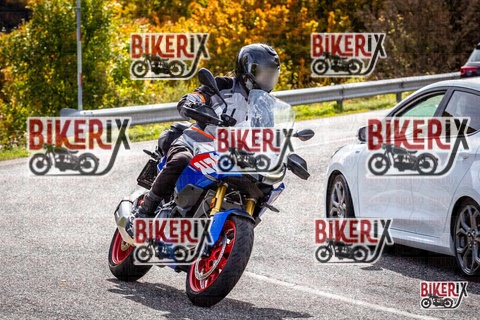 Forca d Acero 12-10-25 h13-17 1538