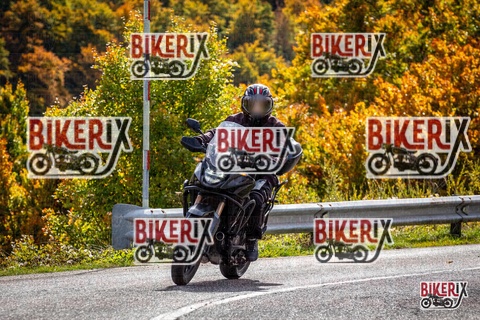 Forca d Acero 12-10-25 h13-18 1545