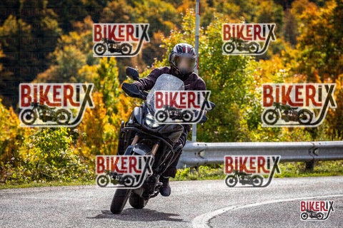 Forca d Acero 12-10-25 h13-18 1546