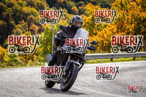 Forca d Acero 12-10-25 h13-18 1549