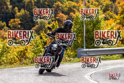 Forca d Acero 12-10-25 h13-18 1550