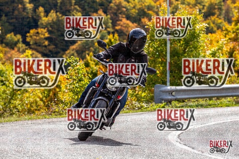 Forca d Acero 12-10-25 h13-18 1551