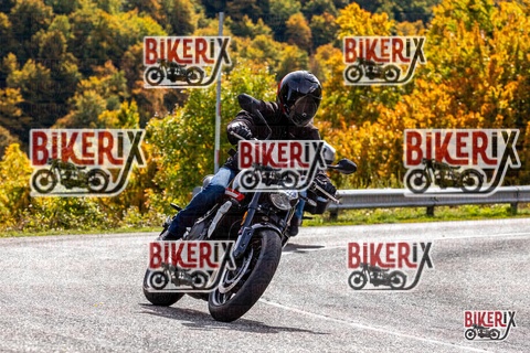 Forca d Acero 12-10-25 h13-18 1552