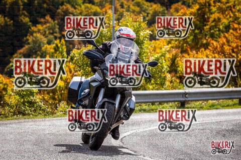 Forca d Acero 12-10-25 h13-18 1554