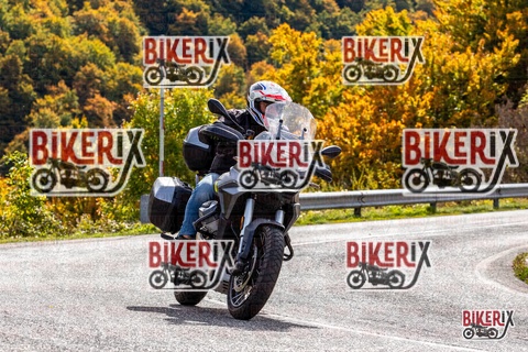 Forca d Acero 12-10-25 h13-18 1555