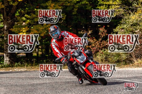 Forca d Acero 12-10-25 h13-19 1559