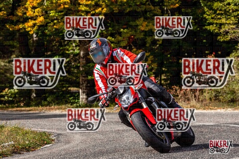 Forca d Acero 12-10-25 h13-19 1560