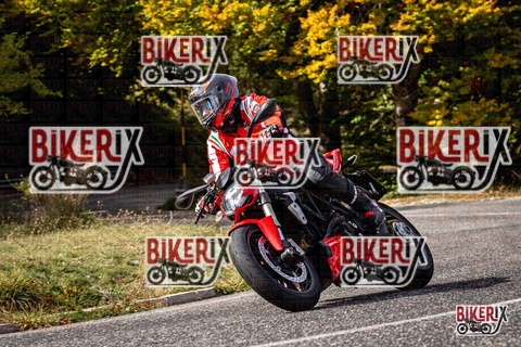 Forca d Acero 12-10-25 h13-19 1561