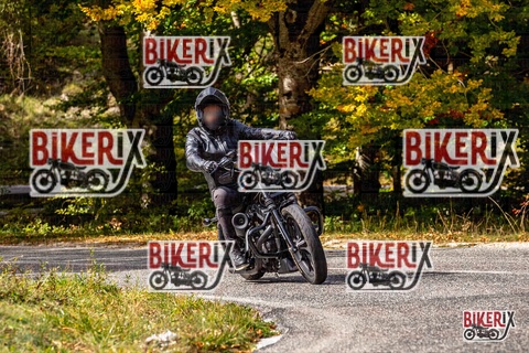 Forca d Acero 12-10-25 h13-20 1563