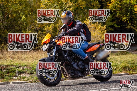 Forca d Acero 12-10-25 h13-21 1579