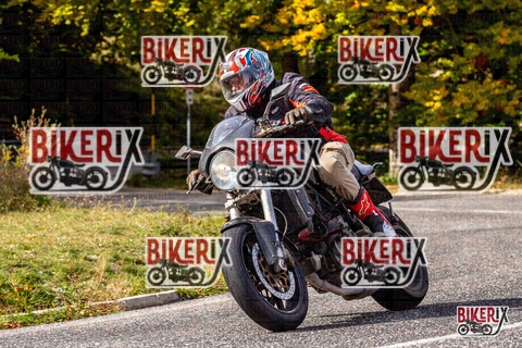 Forca d Acero 12-10-25 h13-21 1594