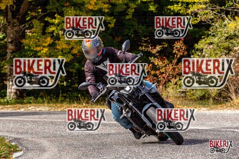 Forca d Acero 12-10-25 h13-27 1637