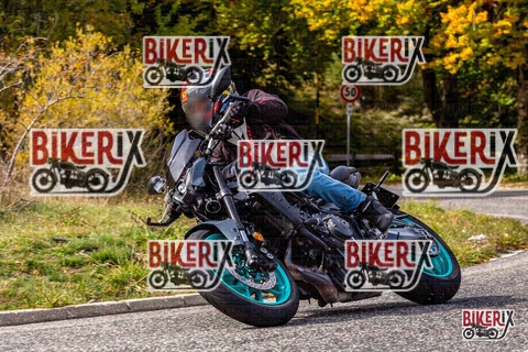 Forca d Acero 12-10-25 h13-27 1638