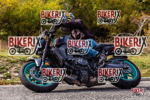 Forca d Acero 12-10-25 h13-27 1639