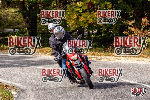 Forca d Acero 12-10-25 h13-31 1641