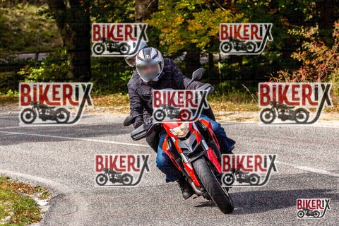 Forca d Acero 12-10-25 h13-31 1642