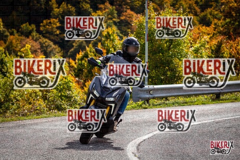 Forca d Acero 12-10-25 h13-33 1649