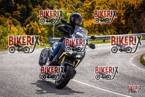 Forca d Acero 12-10-25 h13-33 1651