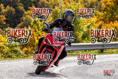 Forca d Acero 12-10-25 h13-33 1654